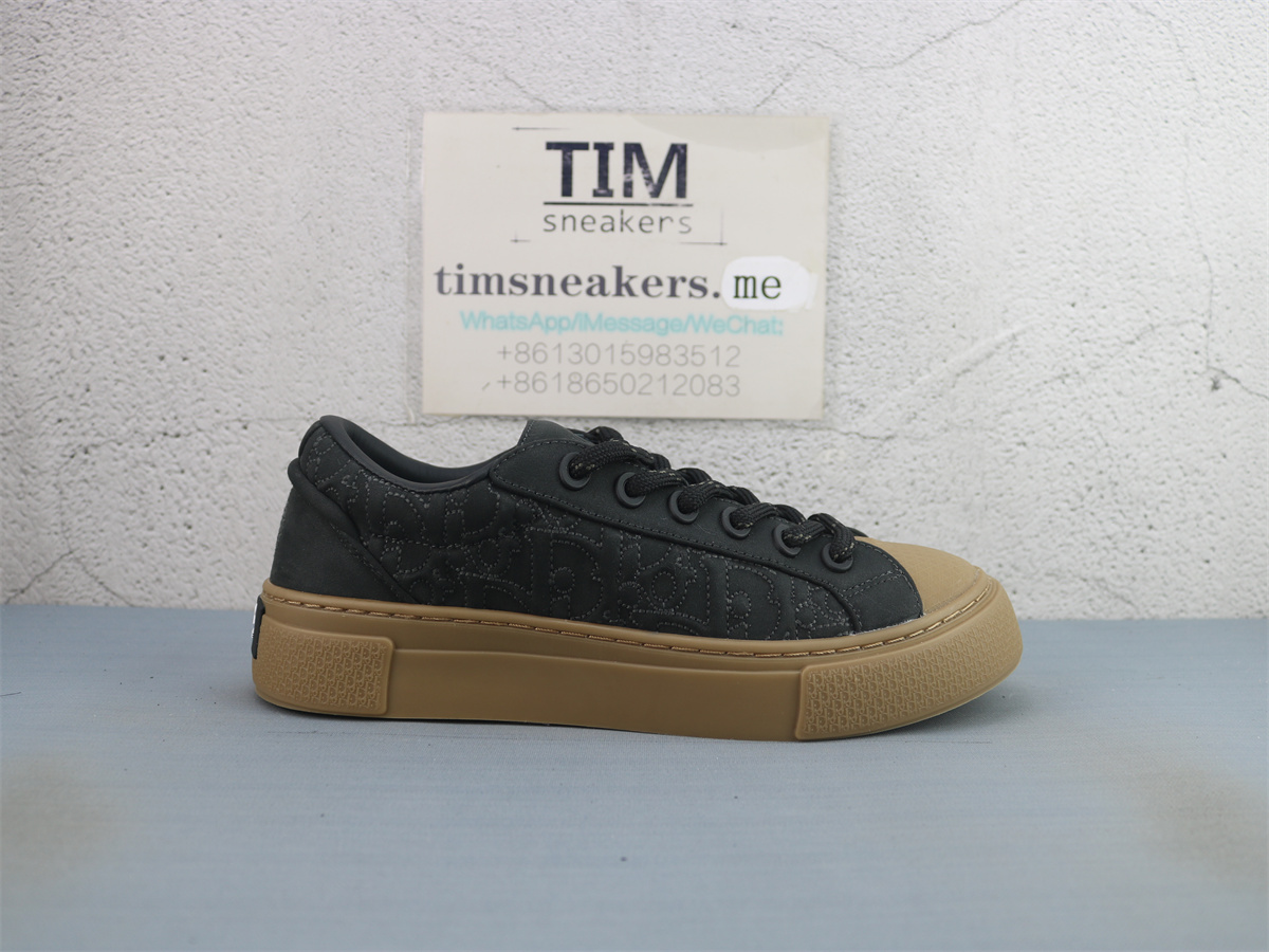 Stone Island X DIOR B33 Skateboard Shoes Men Low-Top Black